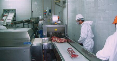 Las dos amenazas que pueden complicar el repunte de las exportaciones de carne imagen-18
