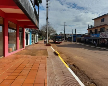 Piden señalización de estacionamiento exclusivo en zonas de Farmacias en San Pedro imagen-19
