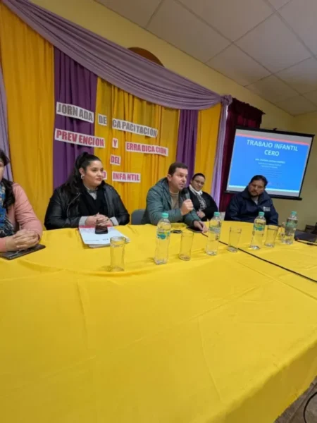 San José: dictan capacitación intersectorial sobre erradicación del trabajo infantil imagen-19
