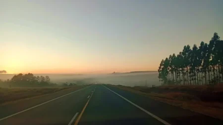 Alertas por niebla y trabajos en rutas nacionales: recomendaciones para conductores en la provincia imagen-22