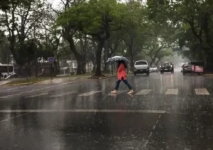 Domingo con tormentas fuertes y alerta en Misiones: podrían caer hasta 89 mm de lluvia imagen-4