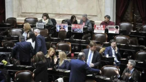 Referentes de organismos nacionales con expectativas sobre resolución en Diputados imagen-3