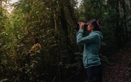 Misiones será sede del primer encuentro internacional de observación de aves imagen-18