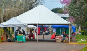 Empezó la Fiesta de los Pueblos en Ruiz de Montoya imagen-1