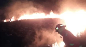 Doce hectáreas bajo fuego: incendio en la Reserva Urutaú de Candelaria imagen-2