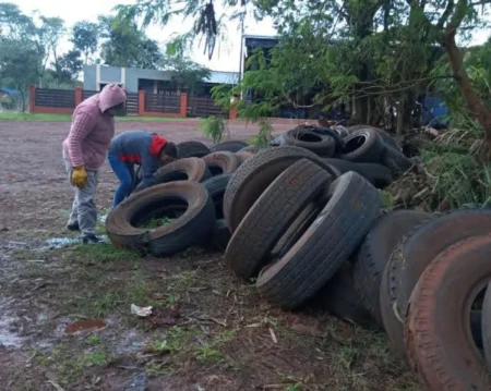 Puerto Esperanza: realizan tareas de prevención contra el dengue imagen-17