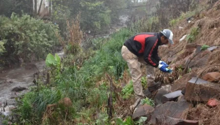 Retiran toneladas de residuos del arroyo San Pedro y llaman a cuidarlo imagen-20