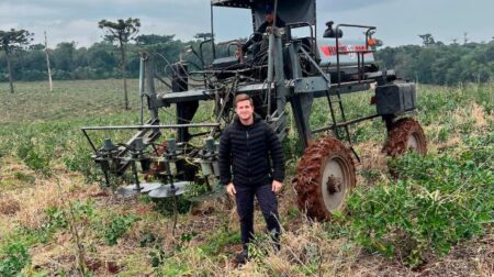 Joven productor misionero invitó a Milei a conocer la difícil situación de los yerbateros imagen-16
