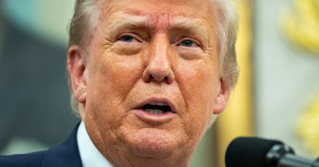 Donald Trump: "Miles de millones de dólares en aranceles ya fluyen hacia Estados Unidos" imagen-5