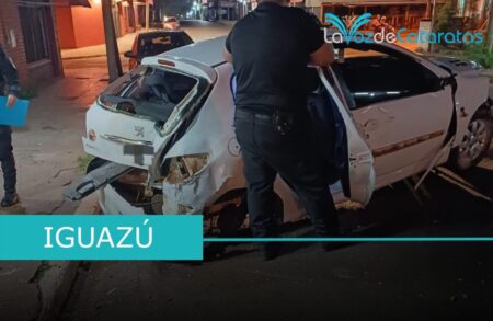 Siniestro vial dejó un herido y daños en un comercio y un automóvil imagen-8