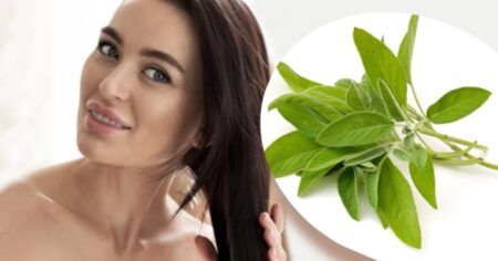 Salvia sabia: las múltiples propiedades curativas de esta hierba aromática imagen-19