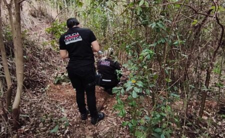 Hallaron restos humanos calcinados en una zona de monte imagen-5