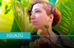 Rocío Mikulic: la artista que transforma la selva en magia visual imagen-3