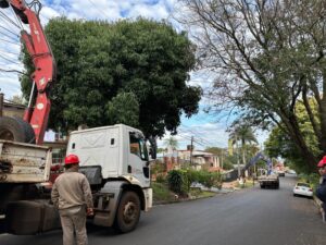 Energía de Misiones mejora infraestructura en Posadas con nueva línea de media tensión imagen-2