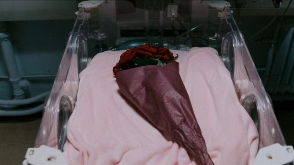 Sólo dura hora y media, está en SkyShowtime y es la película de Cronenberg que todo al que no le guste el terror debería ver imagen-5