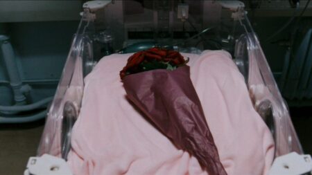 Sólo dura hora y media, está en SkyShowtime y es la película de Cronenberg que todo al que no le guste el terror debería ver imagen-11