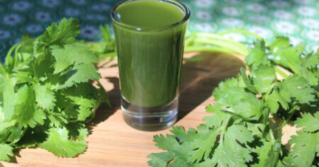 Cuales son las efectos antioxidantes y digestivos del cilantro imagen-7