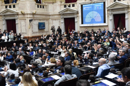 Garrahan y universidades: la oposición hace números para voltear los vetos de Milei imagen-9