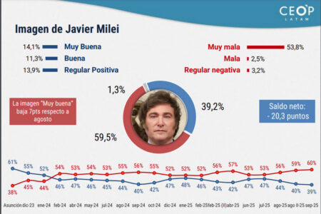 Milei ante una dramática caída de su imagen  imagen-6