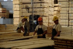 Crisis de la madera | PyMEs piden al Gobierno nacional medidas urgentes para recuperar rentabilidad y sostener empleos imagen-7
