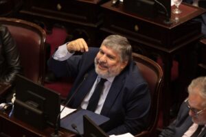 El kirchnerismo presentó en el Senado un proyecto para frenar la venta de Nucleoeléctrica que impulsa el Gobierno imagen-4