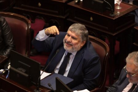 El kirchnerismo presentó en el Senado un proyecto para frenar la venta de Nucleoeléctrica que impulsa el Gobierno imagen-6