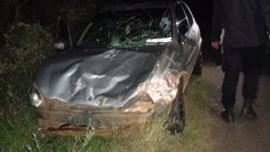 Cerro Corá: un auto chocó con una vaca en la ruta y sus ocupantes salieron ilesos imagen-2