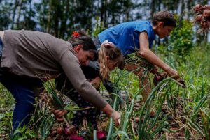 Experiencias de productores de El Soberbio y Panambí muestran el éxito de las chacras multiproductivas imagen-4