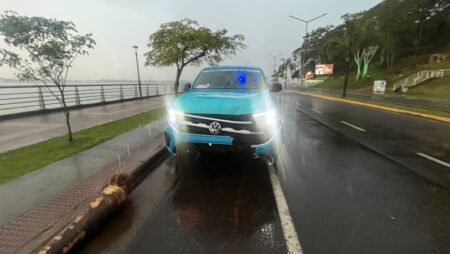 Conductor perdió el control y chocó contra una palmera en la Costanera imagen-7