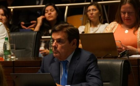 Legislatura sancionó la ley de chacras multiproductivas misioneras imagen-20