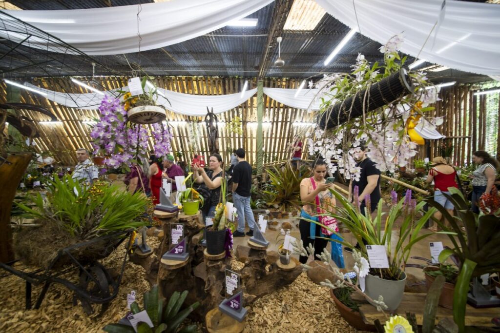 Todo listo para la Fiesta Nacional de la Orquídea y la 41 Fiesta Provincial de la Flor imagen-5