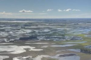 Trámite simple: cómo pedir los beneficios de la emergencia agropecuaria imagen-3