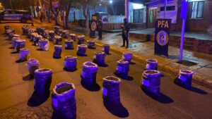 Incautan más de 850 kilos de marihuana en Eldorado imagen-63