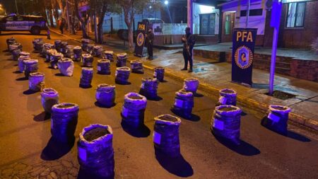 Incautan más de 850 kilos de marihuana en Eldorado imagen-5