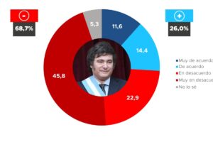 Una encuesta nacional reveló que el 89% de los argentinos tiene una opinión positiva de la universidad pública imagen-1