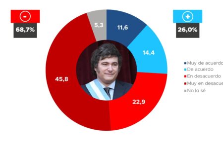 Una encuesta nacional reveló que el 89% de los argentinos tiene una opinión positiva de la universidad pública imagen-14