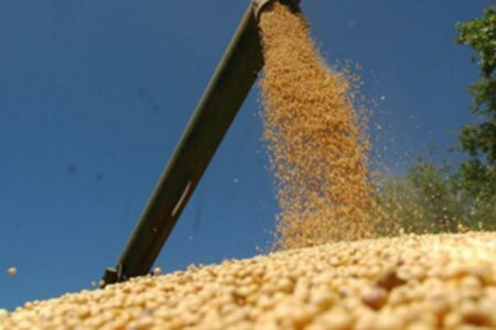 Retenciones: se viene otra semana tensa y hay expectativas por una reunión con el campo imagen-8