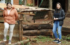 Mujeres del barrio «Sol de Misiones» levantan huerta comunitaria con apoyo técnico municipal y provincial imagen-2