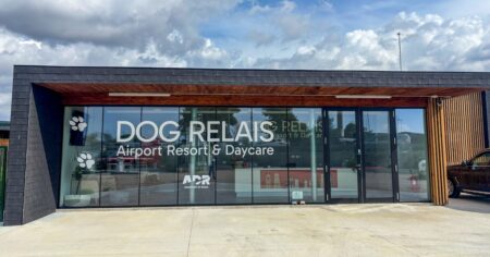 Abrieron un hotel de lujo para perros que incluye aromaterapia y videollamadas imagen-6