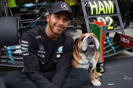 El mal momento de Lewis Hamilton por el estado de su perro Roscoe: “Horas aterradoras” imagen-5