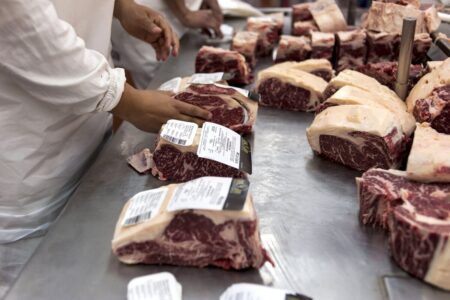El Gobierno oficializó la eliminación de retenciones a las exportaciones de carne hasta octubre imagen-29