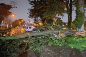 Hubo alerta naranja: el temporal dejó un caos de daños y complicaciones en Mar del Plata imagen-2