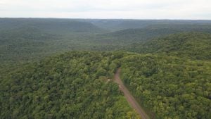 Presupuesto nacional 2026 | “Asignan apenas el 3,5% de la Ley de Bosques, el desfinanciamiento más grave desde su implementación” imagen-9