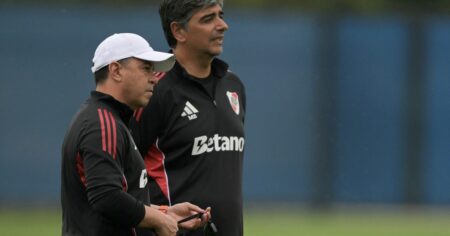 Los pibes que Gallardo no llevará a Brasil para visitar a Palmeiras imagen-17