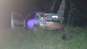 Un auto se despistó sobre la Ruta 6 imagen-2