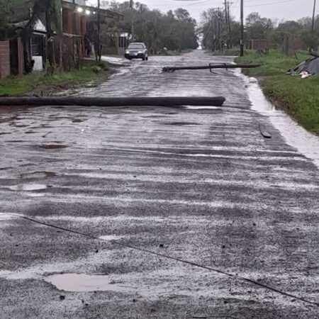 Temporal: provocó voladura de chapas y caída de postes en algunos sectores imagen-53