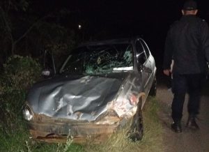 Cerro Corá: un auto colisionó con una vaca en la Ruta Provincial 3 imagen-8
