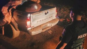 Interceptan a una banda de cuatreros con un animal robado de 400 kilos imagen-2