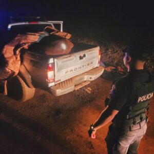 La Policía capturó a una banda que robaba ganado y los sorprendió con un vacuno de más de 400 kilos que mataron a tiros imagen-1