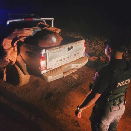 La Policía capturó a una banda que robaba ganado y los sorprendió con un vacuno de más de 400 kilos que mataron a tiros imagen-32